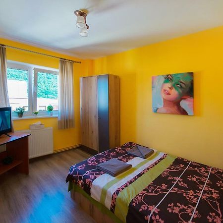 Luna Apartment Brasov Bagian luar foto