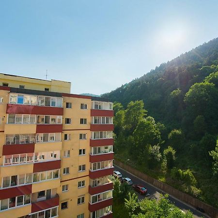 Luna Apartment Brasov Bagian luar foto