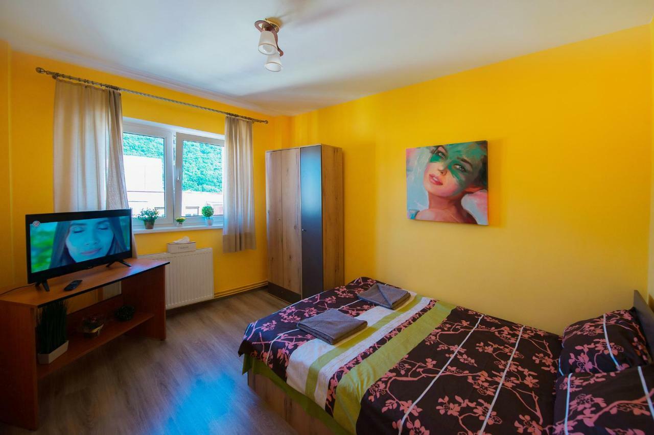 Luna Apartment Brasov Bagian luar foto