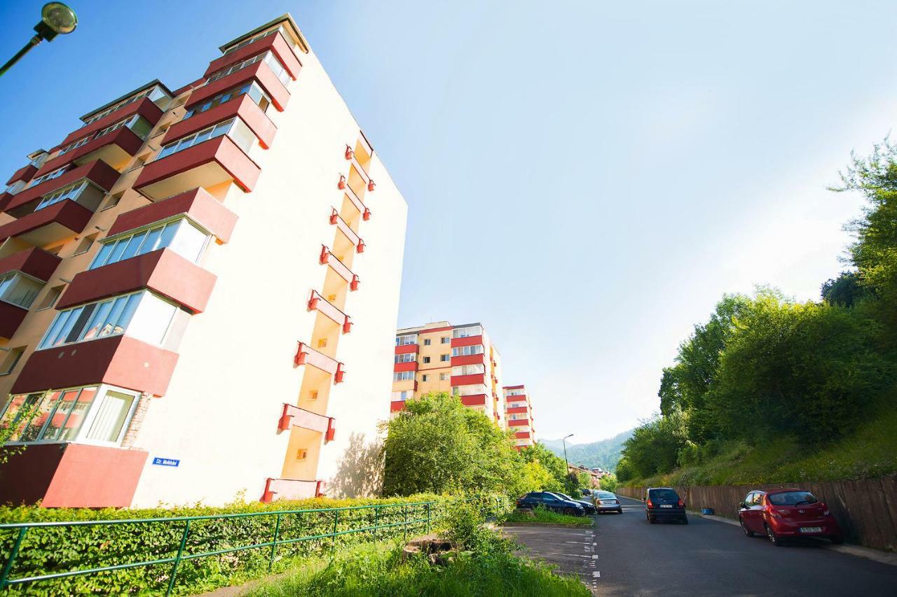Luna Apartment Brasov Bagian luar foto