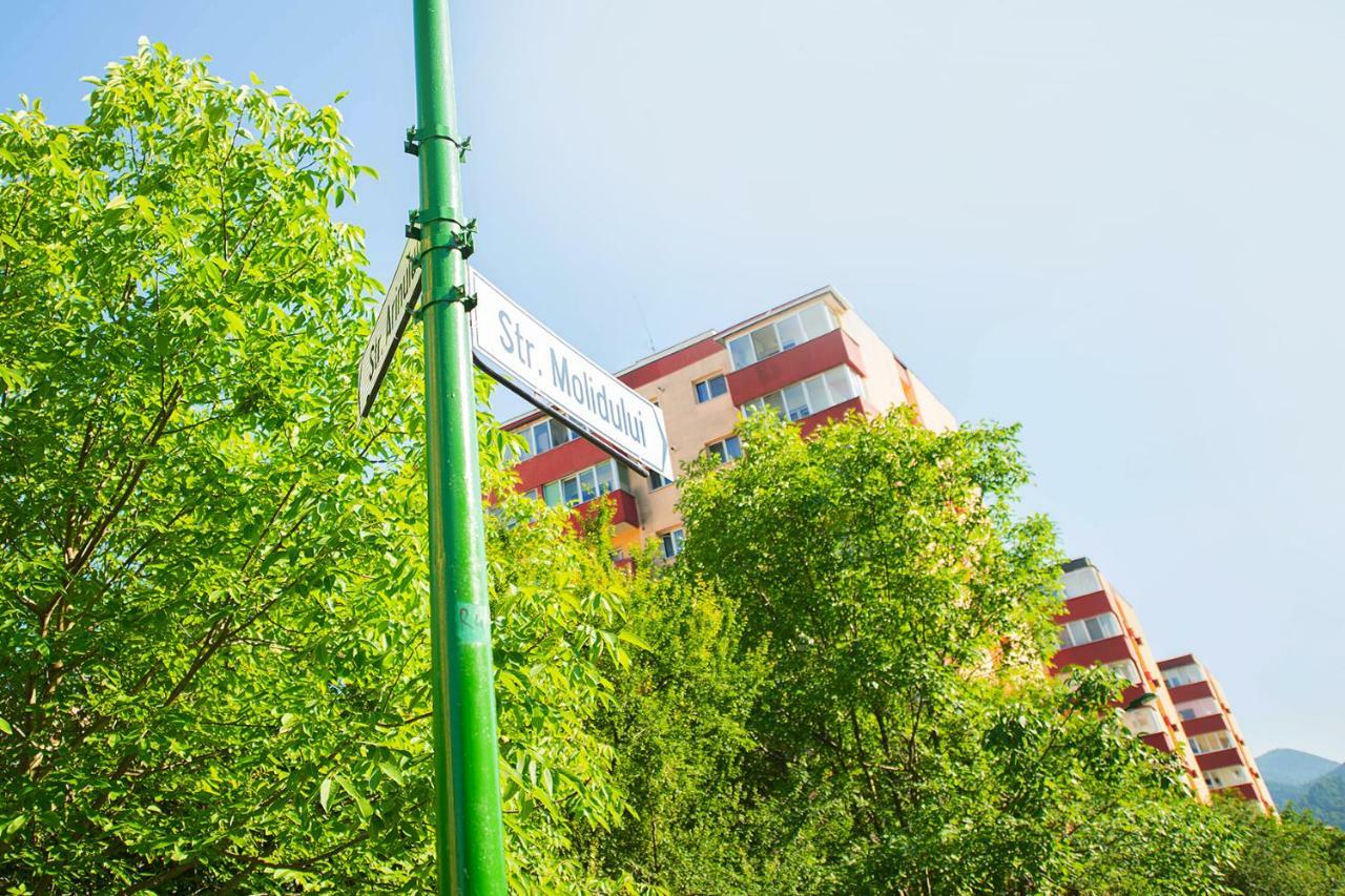 Luna Apartment Brasov Bagian luar foto