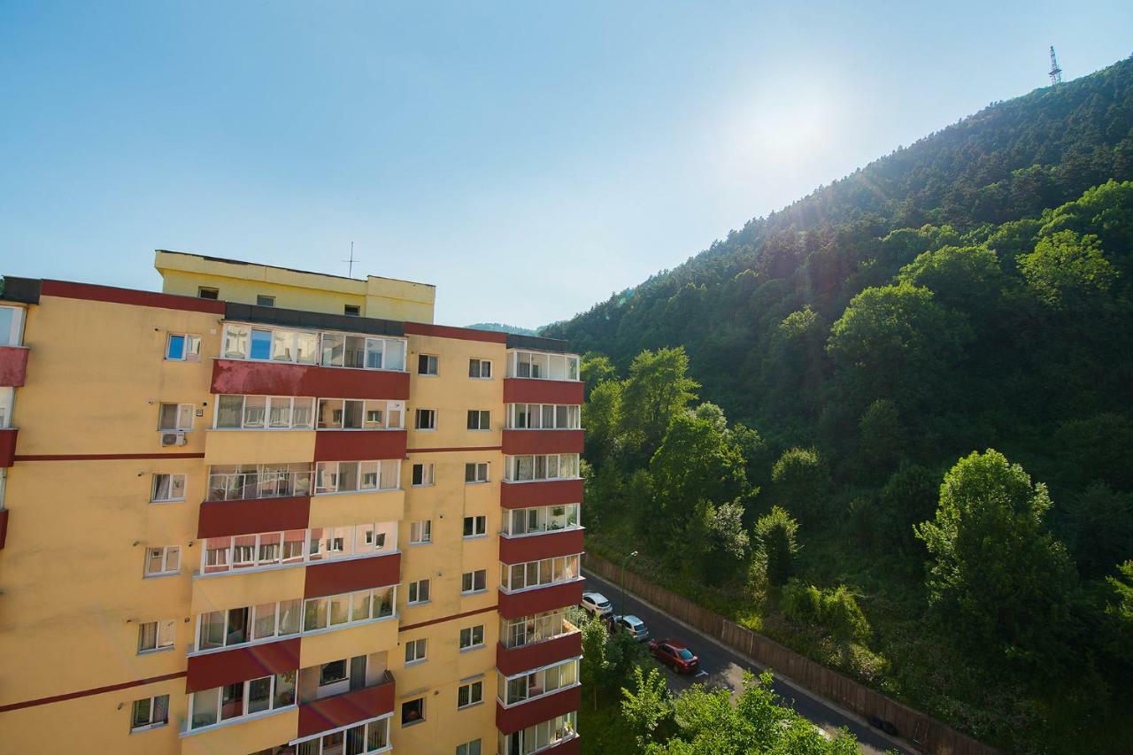 Luna Apartment Brasov Bagian luar foto