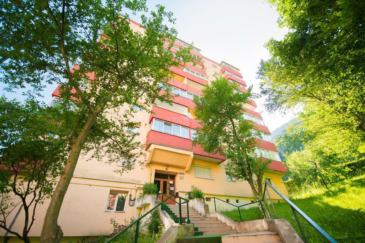 Luna Apartment Brasov Bagian luar foto